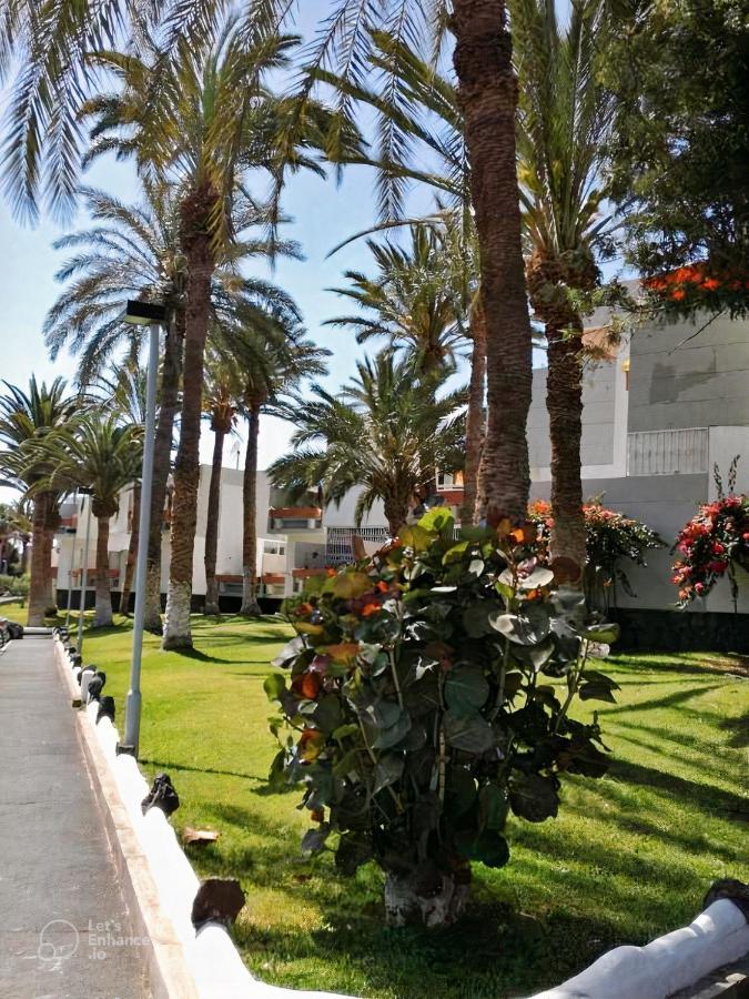 Primavera Tenerife Apartment Costa Del Silencio Exterior photo